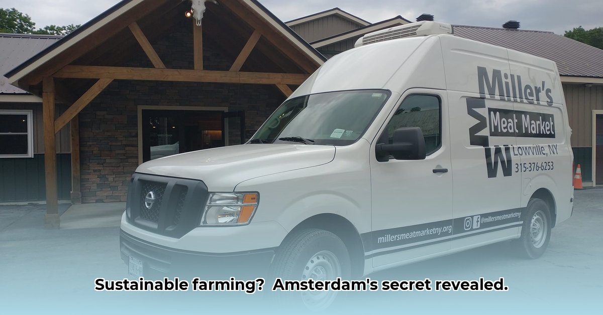 tractor-supply-amsterdam-ny